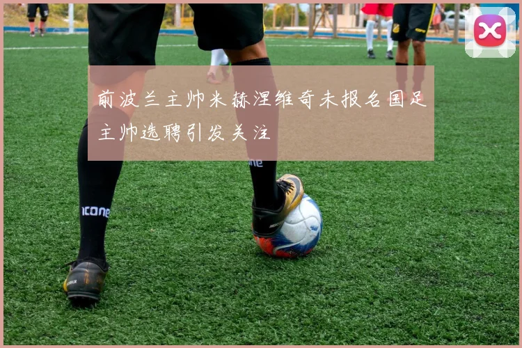 前波兰主帅米赫涅维奇未报名国足主帅选聘引发关注