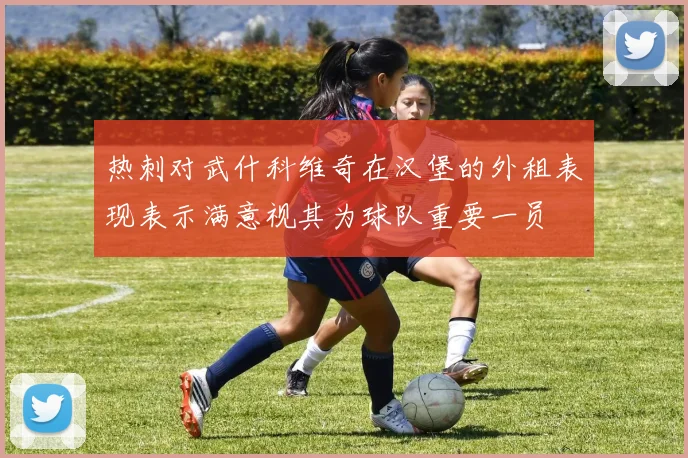 热刺对武什科维奇在汉堡的外租表现表示满意视其为球队重要一员
