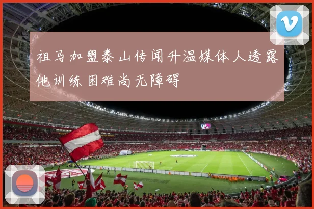 祖马加盟泰山传闻升温媒体人透露他训练困难尚无障碍