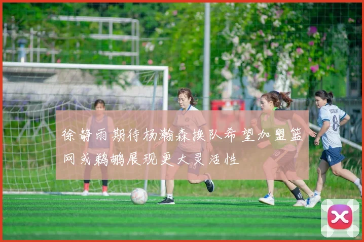 徐静雨期待杨瀚森换队希望加盟篮网或鹈鹕展现更大灵活性