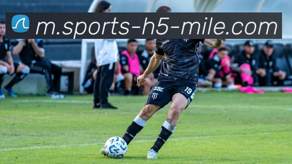 米乐体育平台生态图